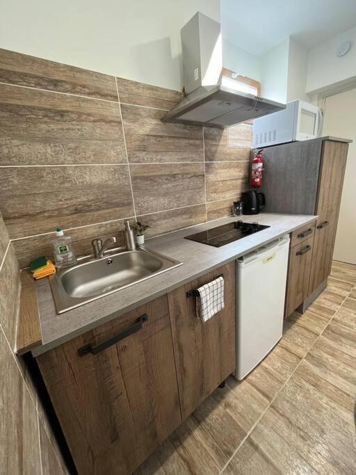 Superbe Appartement A 15 Min De Lyon Saint-Fons Buitenkant foto